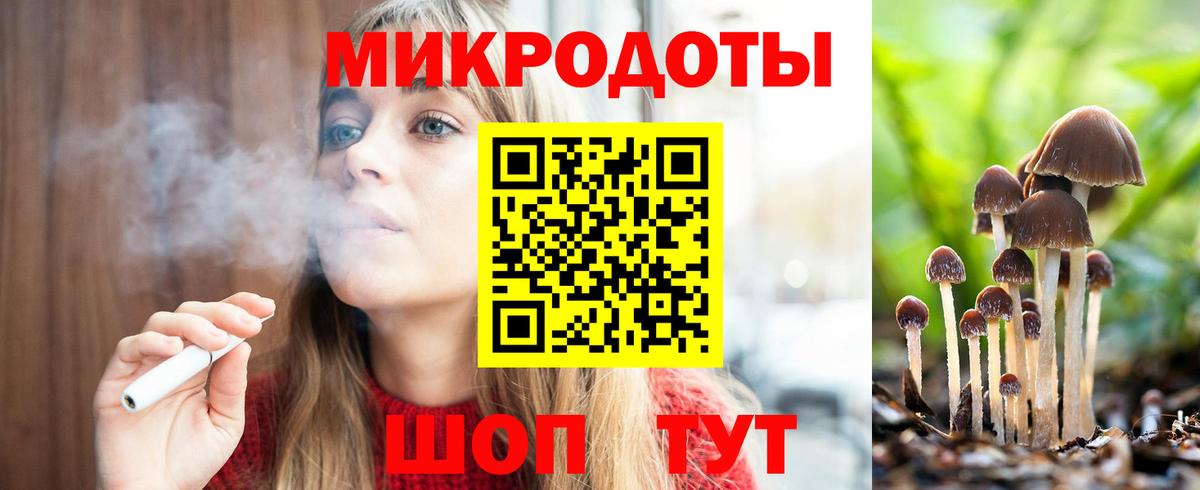 Галлюциногенные грибы Psilocybe Гусь-Хрустальный